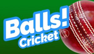 Balls Virtual Reality Cricket Free Download PC Game Setup