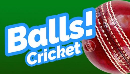Balls Virtual Reality Cricket Free Download PC Game Setup