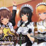 CUSTOM ORDER MAID 3D2 Its a Night Magic Free Download PC Game