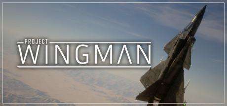 Project Wingman Free Download