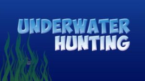 Underwater Hunting Free Download