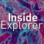 Inside Explorer Free Download