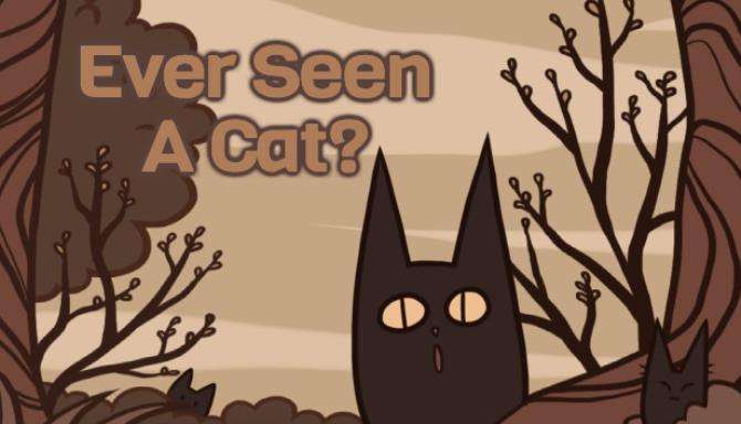 Ever Seen A Cat