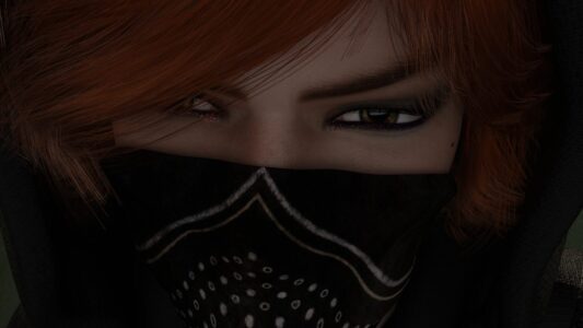 Robbin Hoods Free Download