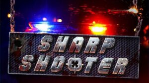 SharpShooter3D Free Download