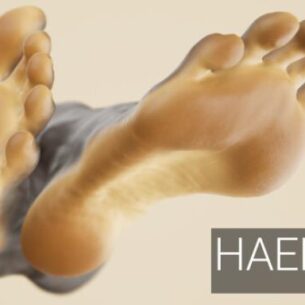 HAELE 3D Feet Poser Lite Free Download