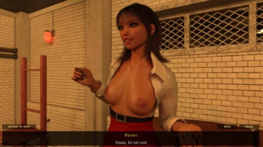 BDSM Sex Free Download PC Game