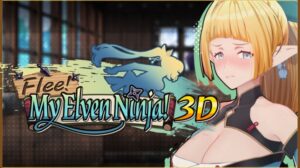 FLEE MY ELVEN NINJA 3D Free Download PC Game