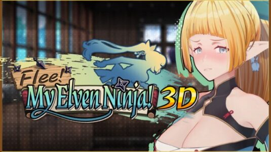 FLEE MY ELVEN NINJA 3D Free Download PC Game
